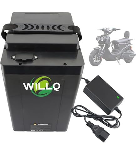 Vervangende Lithiumbatterij 60V – 12Ah Tot 30Ah – Met BMS – Voor Elektrische Scooters, Motoren En Driewielers – 250W-1800W