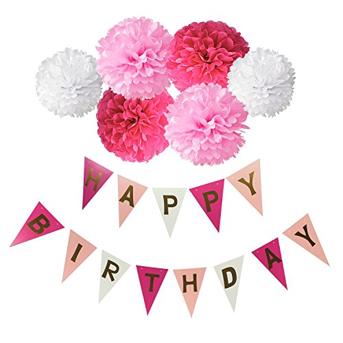 Happy Birthday Girlande Set, Wartoon Habby Birthday Alles Gute Zum Dekoration Deko Geburtstag Girlande Quasten Girlande Geburtstag und 6 Seidenpapier Pompons Rosa Pompoms für Geburtstag Dekoration