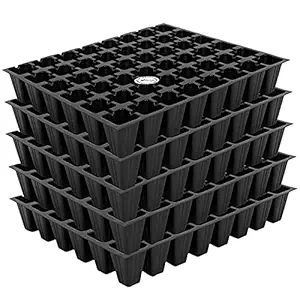 Kraft Seeds Seedling Tray, 28 cm x 24 cm x 4 cm, Pack of 5