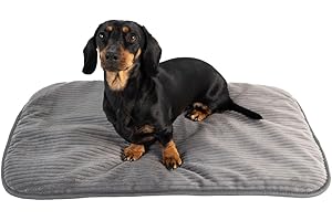 MyBestBuddy Hundematte grau Basic 70x45 cm M mit weichem Stoff extra für Haustiere - 40°C waschbar, allergikerfreundlich (100% Polyester) - Hundekissen BZW. Hundebett für mittlere Hunde, 70 x 45 cm