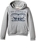 Levi's Boy's N91500G Hoodie