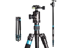 POLAM-FOTO Professionale Fotocamera Treppiedi 161 cm, 2 in 1 Aluminum Travel Treppiede/Monopiede