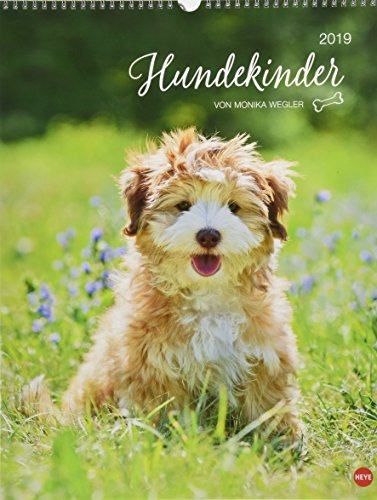 Hundekinder Posterkalender - Kalender 2019