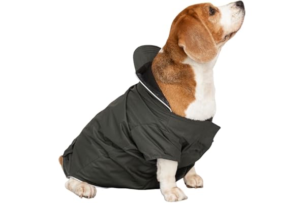 PAWPOURRI Forest Green Dog Raincoat with Hoodie Water Resistant Polyester (Green, M),1 Count