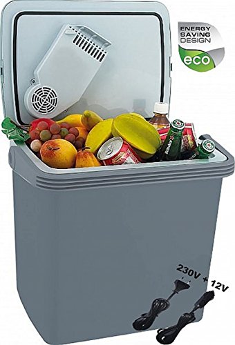 2in1 Kühlbox | Kühltasche | Thermobox | Isoliertasche Warmhaltebox | Auto Camping Outdoor Kühlbox & Warmhaltebox |Tragegriff | 12 Volt und 230 Volt