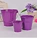 Produktbild QYL 3Er Shabby Chic Mini Eimer Blume Metall Vasen Dekorative Rustikale Kleine Eisen Eimer,Purple