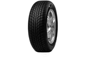 Goodride SW608 (185/60 R15 88H XL)