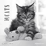 Cats 2017 - Katzen - Broschürenkalender (30 x 60 geöffnet) - schwarz/weiß - by Sabine Rath - Tierkalender - Wandplaner by 