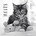 Cats 2017 - Katzen - Broschürenkalender (30 x 60 geöffnet) - schwarz/weiß - by Sabine Rath - Tierkalender - Wandplaner by 