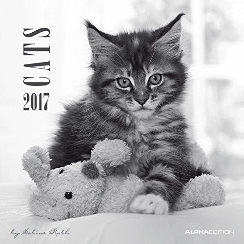 Cats 2017 - Katzen - Broschürenkalender (30 x 60 geöffnet) - schwarz/weiß - by Sabine Rath - Tierkalender - Wandplaner