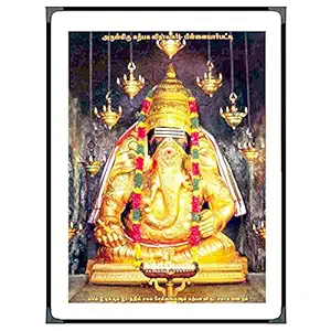 Samy Photo 8mm Wood and Glossy Beading Photos Frames A4 Size (12