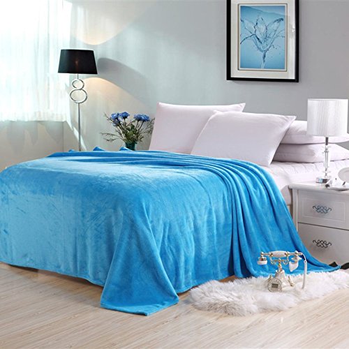 Swiftswan Flannel Luxury Blanket, Lightweight Cozy Plush Microfiber Solid Blanket Plush Throw Blanket for Sofa Couch,27.55"x 39.37"