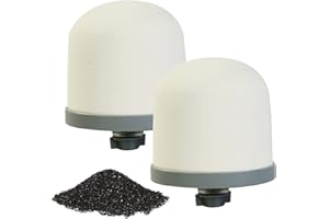 HUINING 2PCS guscio di noce di cocco filtro per l'acqua a cupola in ceramica a carbone attivo per unità di prefiltrazione dell'acqua 0,15-0,5 micron filtro