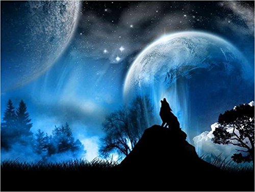 Sun studio 5D Pintura de Diamantes, DIY Crystal Diamond Rhinestone Pintura con Diamantes estrás Bordado Punto de Cruz Pintura Diamante Manualidades Taladro Completo (Lobo)