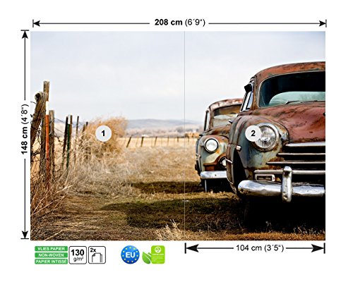 Fototapete Vlies Vliestapete Oldtimers Car Auto Klassiker Legende Amerika Steppe Lowrider Wand Bild Dekoration Modern XXL Bahn No.87 (208x148cm) - 2