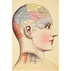 Posterlounge Cuadro Sobre Lienzo 20 x 30 cm: Map of The Human Brain