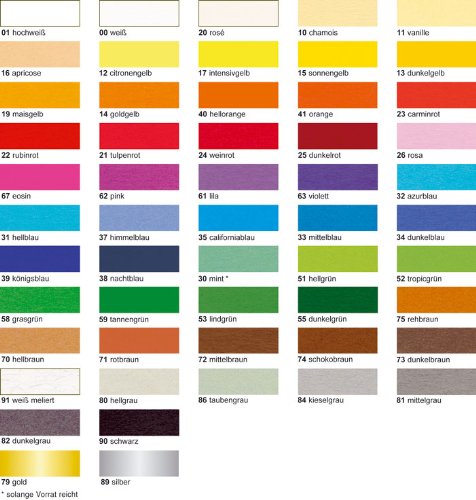 Preisvergleich Produktbild Fotokarton 300G.DIN A4,250BL.25F.SORTIERT