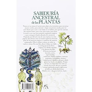 La sabiduría ancestral de las plantas (Mundo mágico)