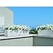 Produktbild Lechuza Balconera Cottage mit Bewässerungsset weiß cm 80, Mehrfarbig,