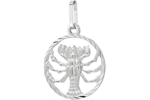 NKlaus Sternzeichen 925 Sterlingsilber Silber 15mm Ketten Anhänger Zodiak Horoskop