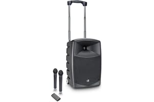 LD Systems ROADBUDDY 10 HHD 2 B6 - Akkubetriebener Bluetooth-Lautsprecher mit Mixer und 2 Funkmikrofonen