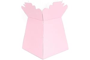 APAC Pink Living Vase Flower Box Flower Bouquet Transporter, Sweet Tree Box