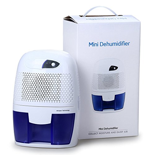 Oxygentle Mini Luftentfeuchter Elektrisch Elektrischer Raumentfeuchter mit 500ml Wassertank (250ml/24hrs)