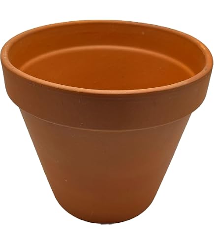 Prosperplast COPERCHIO DI SEAL FLEURI - 23,2 x ? 24 cm - vaso di fiori con tubo piattino rotondo