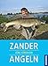 Produktbild Zander angeln
