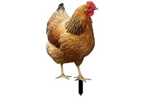 AIDNTBEO 2 pz Pollo Yard Arte Giardino Gallina Intagliato Realistico Decorazione Segno Acrilico Gallo Animale per la Casa Patio Decorazione Del Cortile, A