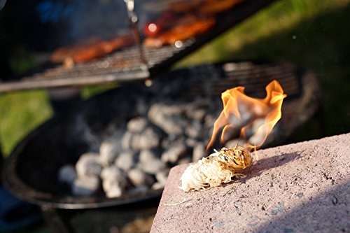 ActiveVikings – Kamin&Grillanzünder Probepackung (Mengen 2,5kg 3kg 5kg) ——— Ökologische und Biologische Anzünder, Ideal für Ihren Kamin und Grill, 0.03 kg (2 Stück).( Bioanzünder Grillanzünder Kaminanzünder Ofenanzünder Holzanzünder Holzwolle) (0.03) - 5