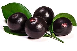 Acai fruit pulp - frozen - packed in 100g sachets - expertly sourced by My Exotic Fruit (5 x 100g)