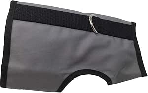 kitty holster cat harness amazon