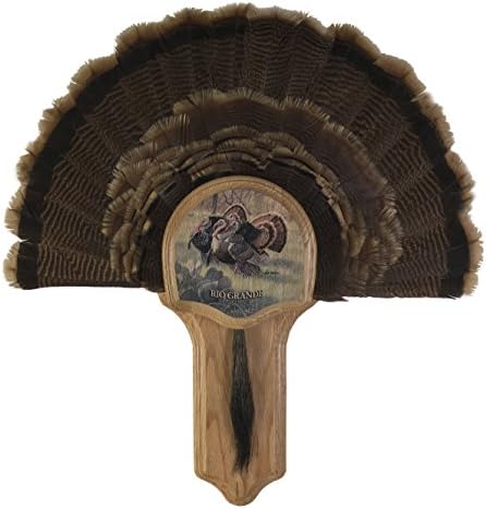 Walnut Hollow Country Deluxe Turkey Display Kit, Solid Oak Grand Slam Series Rio Grande Turkey image