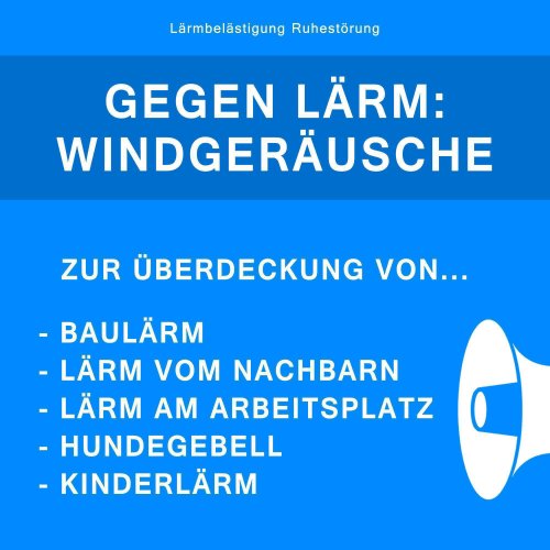 Image result for Lärm