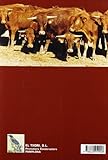 Image de Cuatro siglos de casta Navarra 1605-2005: pasado, presente y futuro
