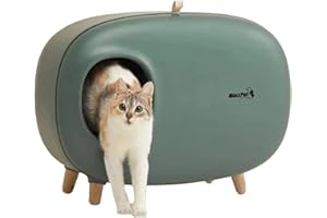 MaxxPet Lettiera Gatto - Lettiera Chiusa per Gatti – Casa di toilette per gatti – Toilette per Gatti con Scomparto Inferiore Rimovibile Per Una Facile Pulizia - 60x38x45 cm - Verde