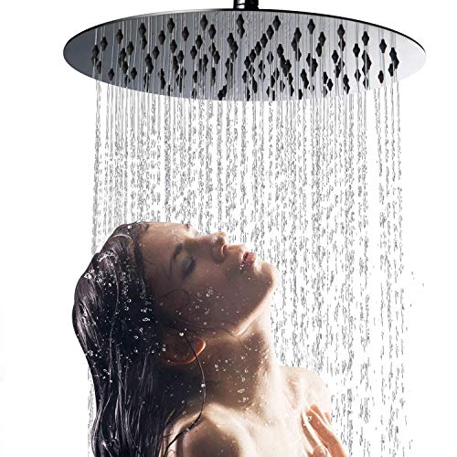 Alcachofa ducha, Cabezal Ducha Lluvia, Placa Ducha, 10 Pulgadas Redonda, Acero Inoxidable 304