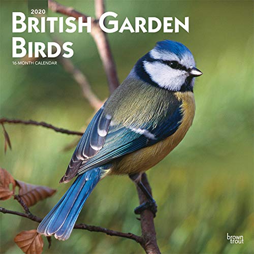 Télécharger British Garden Birds 2020 Calendar Francais PDF
