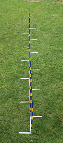 Introductory-offer-dog-agility-weave-poles-12X60cm-straight-weaves-for-training-and-kennel-club-competition