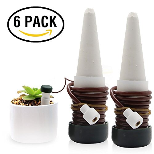 Meisowa Water Dispenser Automatic Plant Watering Indoor Plant Watering Water Dispenser (Pack of 6)