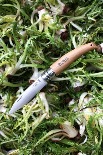 Opinel 133080 Garten-Messer Nr. 8 - 2