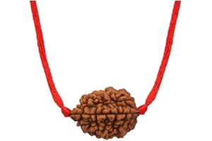 55Carat Choose Your Natural Certified Nepali Rudraksha 1 to 13 Mukhi Ganesh Gauri Shankar Simple Pendant with Red Thread Shiva Astrology Jewelry for Men Women
