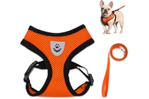 Bieiyhe Cat Harness with Lead, Escape Proof M, Dog Harness Puppy Adjustable, Safety Harness Cat Chest Harness, Cat Lead Kitten Harness, Cat Harnesses, Cat Leash for Kittens Dogs – Orange