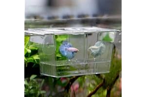 GRTLPOK Yinong Pondoir Flottant 2 en 1 Aquarium d'Elevage Incubateur de Poissons Boîte (20 x 10 x 10cm)