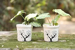 Lyallpur Stores Ceramic Planter Pot Round Shape - Small (White Color, 10 cm) Plant Not Included