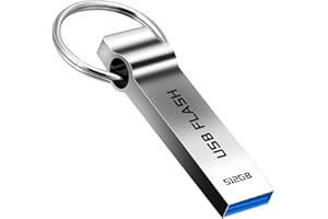 Aogamb USB Stick 512GB Large Capacity Memory Stick 3.0 Metal USB Flash Drive Waterproof USB Memory Stick for PC/Laptops/Computers/Tablets(512gb)
