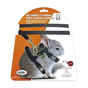 ICA DA1023 Set de Arnés y Correa para Conejos Enanos, Negro