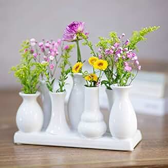 Suchergebnis auf Amazon.de für: blumenvase