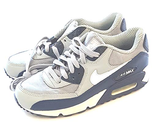 Nike Air Max 90 Trainers Shoes Silver Blue 303994 012 Desertcart